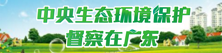 中央生态环境保护督察在广东